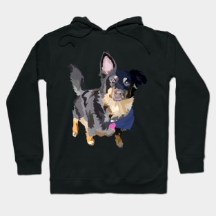 Border collie doodle Hoodie